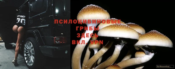 2c-b Алзамай