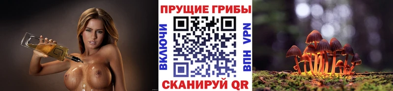 Купить где  Сыктывкар  Галлюциногенные грибы Psilocybine cubensis 