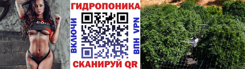 Купить закладки  Сыктывкар  Марихуана VHQ 